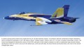 CF-18 “Century Hornet”