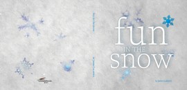 Fun in the Snow Cover